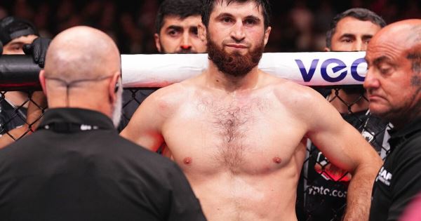 Даниэль Кормье объяснил, почему UFC не дает Магомеду Анкалаеву бой с Алексом Перейрой